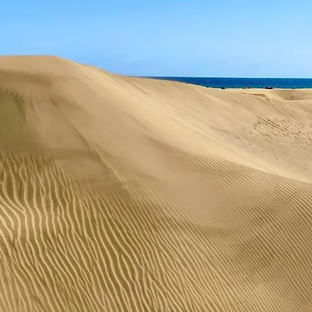 Tamaran 102 - Campos - Lux Garden Near Dunes, Quiet-central-renovated